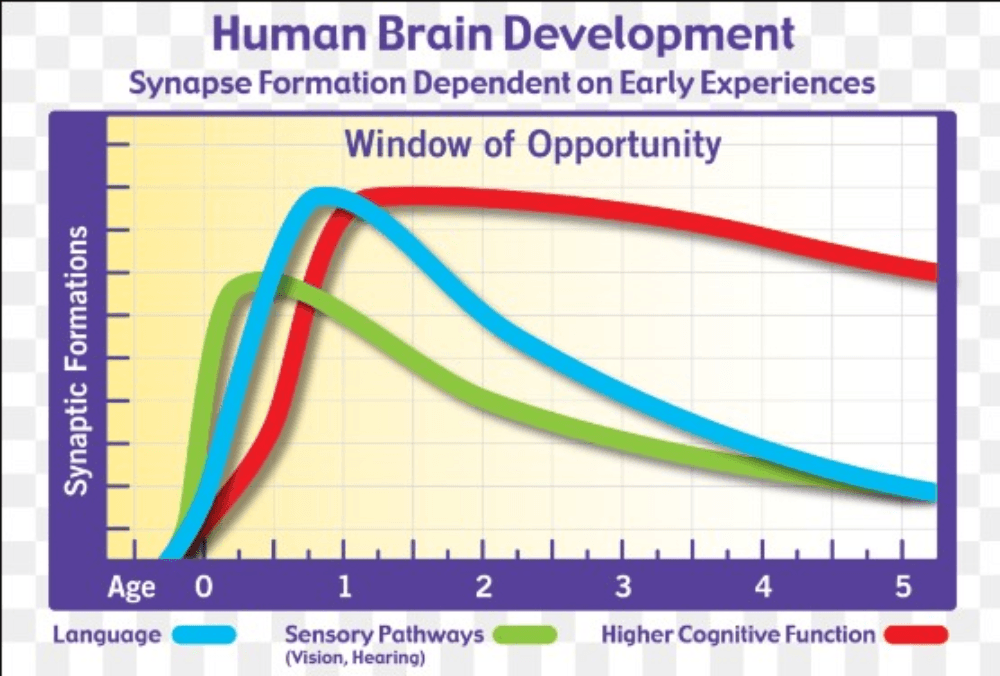Learning Is Actually Automatic